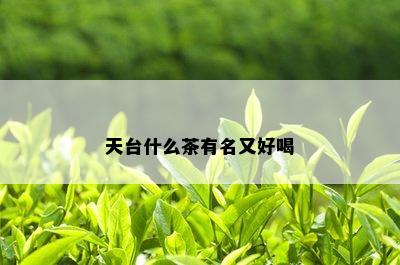 天台什么茶有名又好喝