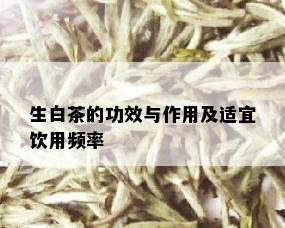 生白茶的功效与作用及适宜饮用频率