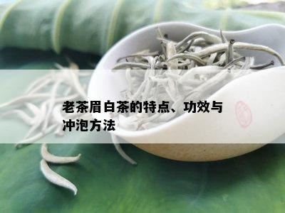 老茶眉白茶的特点、功效与冲泡方法