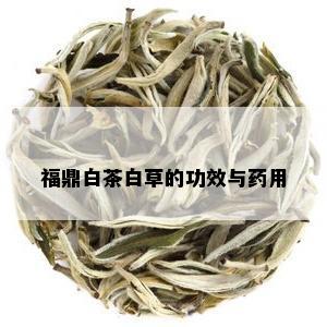 福鼎白茶白草的功效与用