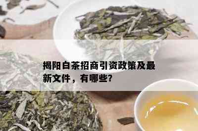 揭阳白茶招商引资政策及最新文件，有哪些？