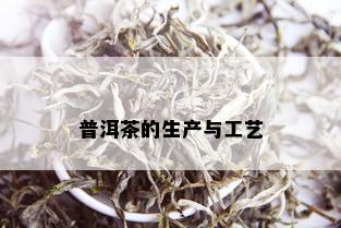 普洱茶的生产与工艺