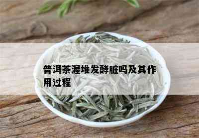 普洱茶渥堆发酵脏吗及其作用过程