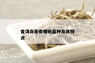 普洱白茶有哪些品种及其特点