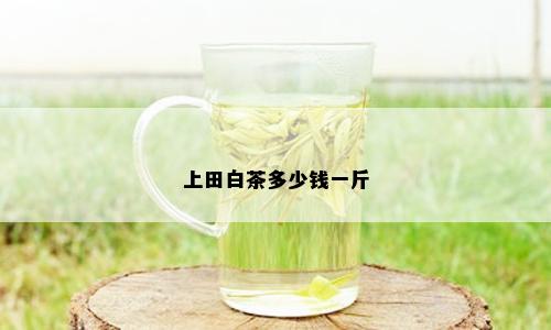 上田白茶多少钱一斤