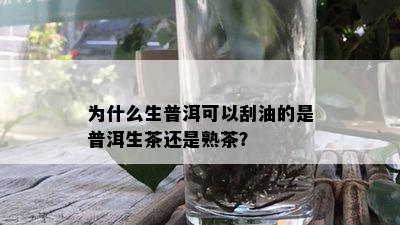 为什么生普洱可以刮油的是普洱生茶还是熟茶？