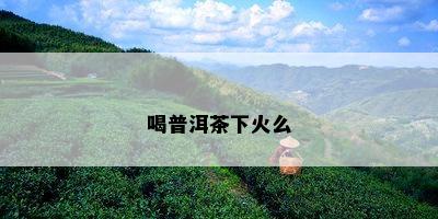 喝普洱茶下火么