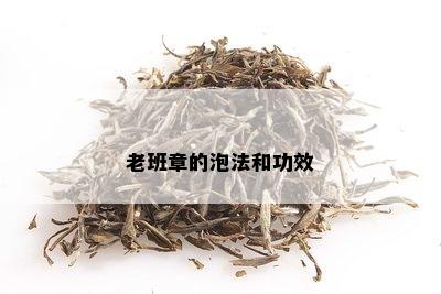 老班章的泡法和功效