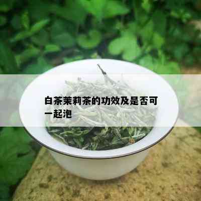 白茶茉莉茶的功效及是否可一起泡