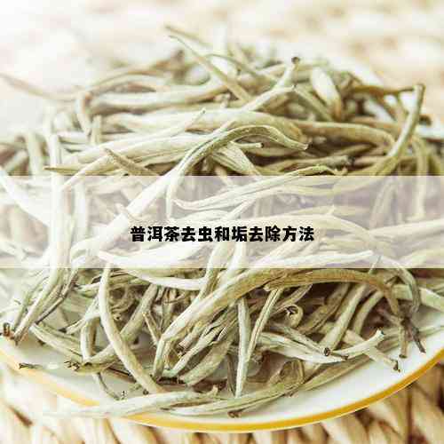 普洱茶去虫和垢去除方法