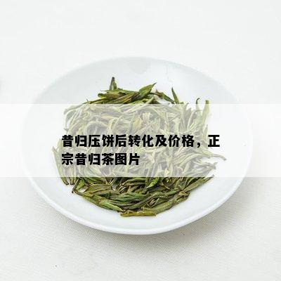 昔归压饼后转化及价格，正宗昔归茶图片