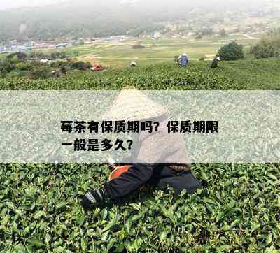 莓茶有保质期吗？保质期限一般是多久？