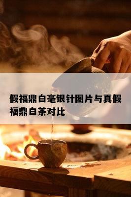 假福鼎白毫银针图片与真假福鼎白茶对比