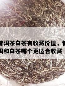 普洱茶白茶有收藏价值，普洱和白茶哪个更适合收藏