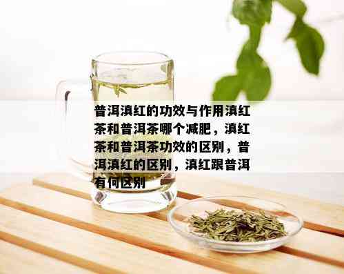 普洱滇红的功效与作用滇红茶和普洱茶哪个减肥，滇红茶和普洱茶功效的区别，普洱滇红的区别，滇红跟普洱有何区别