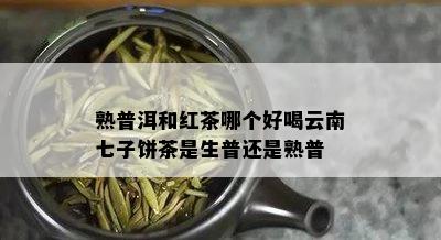 熟普洱和红茶哪个好喝云南七子饼茶是生普还是熟普