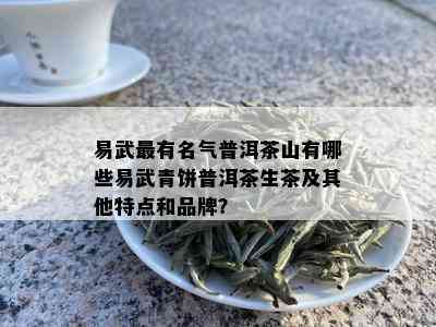 易武最有名气普洱茶山有哪些易武青饼普洱茶生茶及其他特点和品牌？