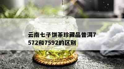 云南七子饼茶珍藏品普洱7572和7592的区别