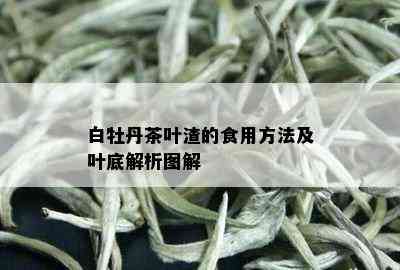 白牡丹茶叶渣的食用方法及叶底解析图解