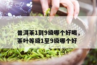 普洱茶1到9级哪个好喝，茶叶等级1至9级哪个好