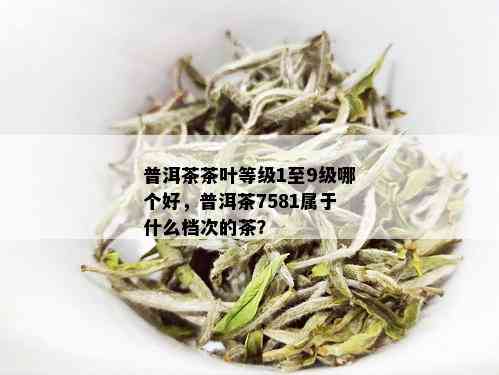 普洱茶茶叶等级1至9级哪个好，普洱茶7581属于什么档次的茶？