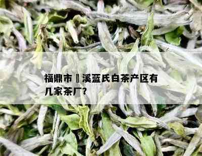 福鼎市磻溪蓝氏白茶产区有几家茶厂？