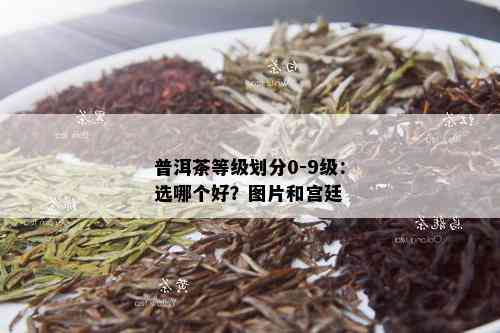 普洱茶等级划分0-9级：选哪个好？图片和宫廷