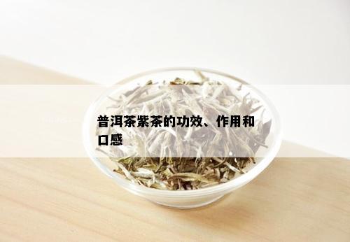 普洱茶紫茶的功效、作用和口感