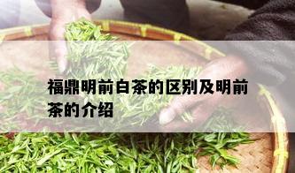 福鼎明前白茶的区别及明前茶的介绍