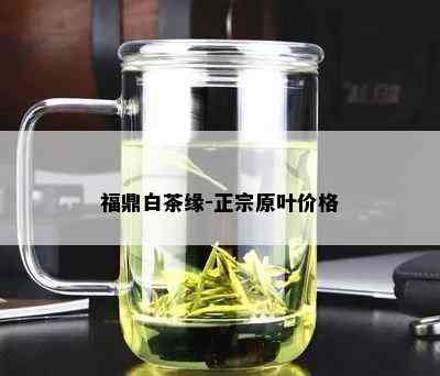 福鼎白茶缘-正宗原叶价格