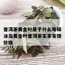 普洱茶黄金叶属于什么等级冰岛黄金叶普洱茶生茶茶饼价格