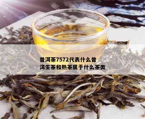 普洱茶7572代表什么普洱生茶和熟茶属于什么茶类