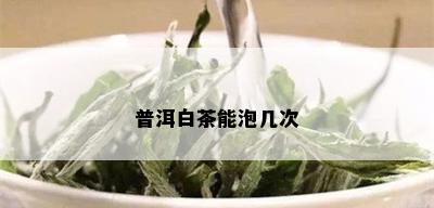 普洱白茶能泡几次