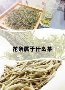 花条属于什么茶