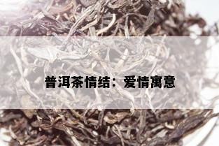 普洱茶情结：爱情寓意