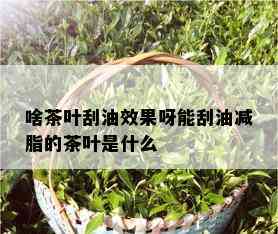 啥茶叶刮油效果呀能刮油减脂的茶叶是什么