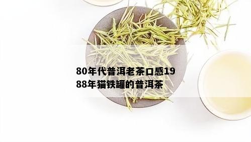 80年代普洱老茶口感1988年猫铁罐的普洱茶