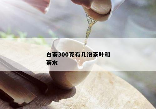 白茶300克有几泡茶叶和茶水