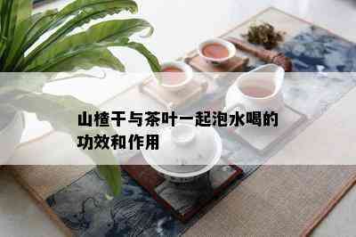 山楂干与茶叶一起泡水喝的功效和作用