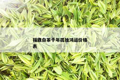 福鼎白茶千年孤独鸿运价格表