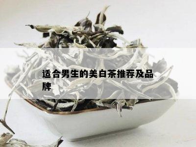 适合男生的美白茶推荐及品牌