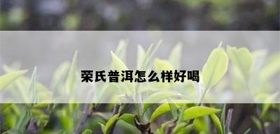 荣氏普洱怎么样好喝