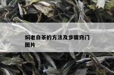 焖老白茶的方法及步骤窍门图片