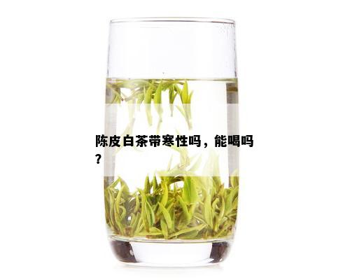 陈皮白茶带寒性吗，能喝吗？