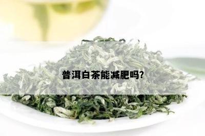 普洱白茶能减肥吗？