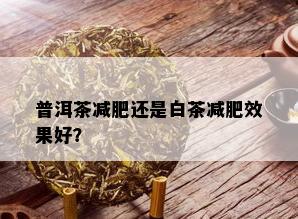 普洱茶减肥还是白茶减肥效果好？