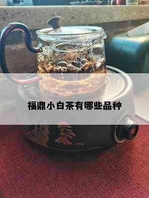 福鼎小白茶有哪些品种