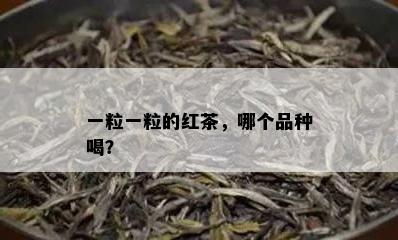 一粒一粒的红茶，哪个品种喝？