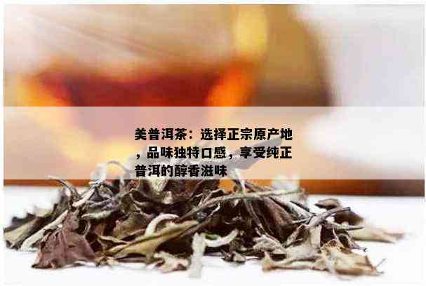 美普洱茶：选择正宗原产地，品味独特口感，享受纯正普洱的醇香滋味