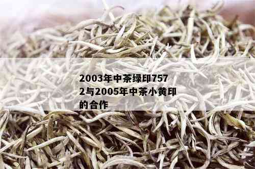 2003年中茶绿印7572与2005年中茶小黄印的合作